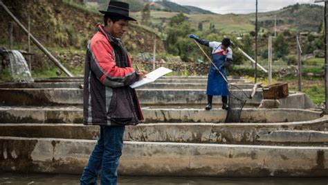 Ley General De Acuicultura Y Su Reglamento Cu L Es Su Objetivo Y En