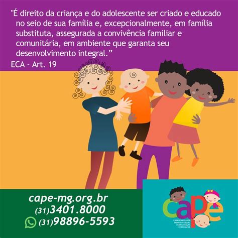 Direito Da Crian A E Do Adolescente Cape