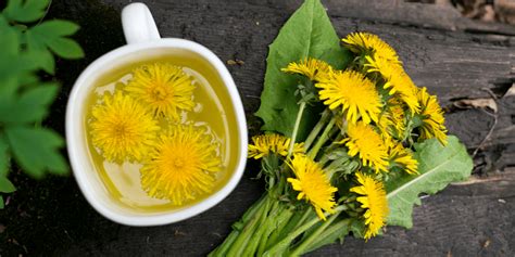 How To Remove Dandelions From Your Lawn For Good Platt Hill Nursery