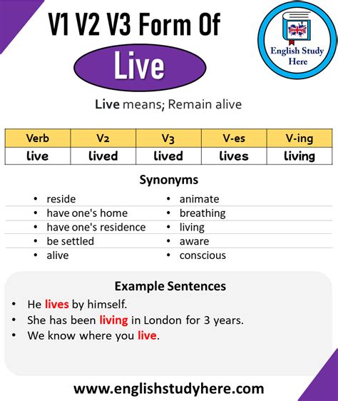 V1 V2 V3 List In English Irregular Verbs List Base Form 47 Off