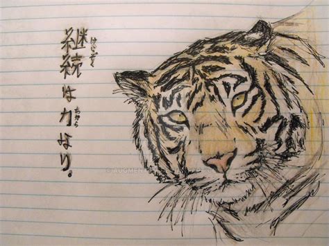 Tiger Pen Sketch Colored By Augmentum On Deviantart