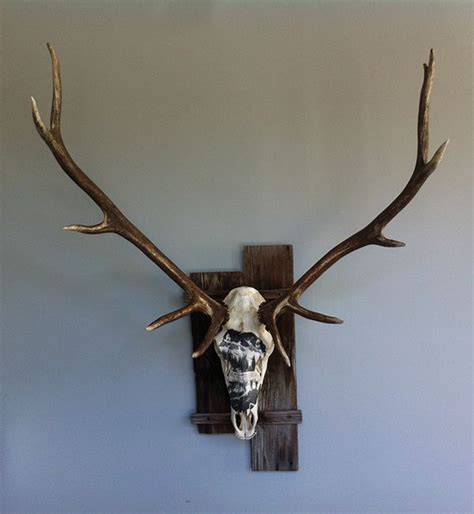 Bull Elk Skull Sculpture on Behance | Elk skull, Bull elk, Bull