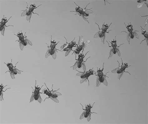 The 10 Most Common Types Of Demons Friendly Specter