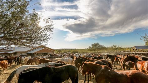 Tanque Verde Ranch Condé Nast Traveler