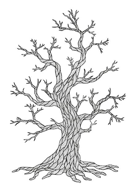 Coloriage De Dessin D Arbre Sec Vecteur Premium