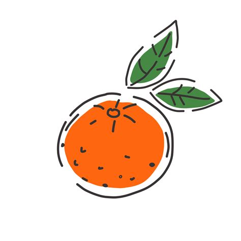 Mandarina Jugosa Sobre Un Fondo Blanco Fruta Dibujo De Contorno Icono