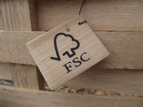 BBC Panorama Demonstrates Importance Of FSC Certification Forest