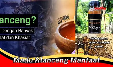 Temukan Manfaat Madu Klanceng Yang Perlu Anda Tahu Biotifor