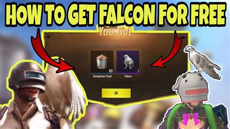 How To Get Falcon Companion In Pubg Mobile Lite Unlock Companion For