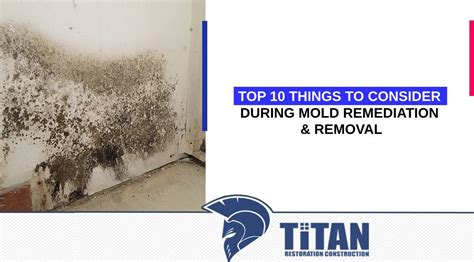 Top Things To Consider During Mold Remediation Removal