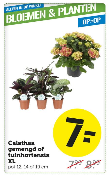 Folder Aanbieding Bij Coop Details