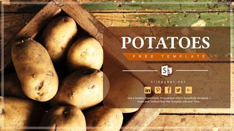 ایران فایلز قالب پاورپوینت سیب زمینی Potato