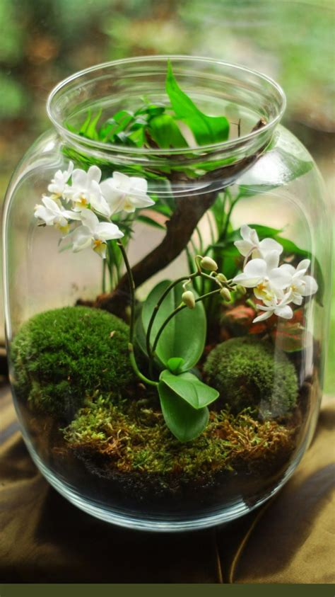 Terrarium ideas – Artofit