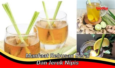 Temukan Khasiat Rebusan Serai Dan Jeruk Nipis Yang Jarang Diketahui