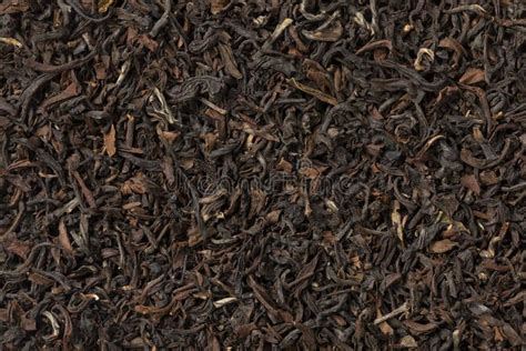 Indian Tukvar Darjeeling Dried Tea Leaves Close Up Full Frame Stock