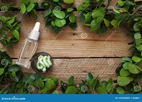 Natural Organic Cosmetics And Greenery Stock Image Image Of Homemade