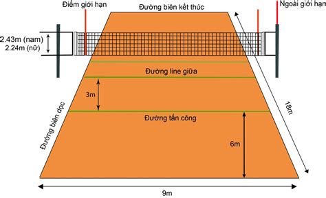 Quy Trình Thi Công Sân Bóng Chuyền đúng Tiêu Chuẩn 2022