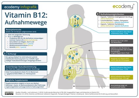 Hypercobalaminämie Mögliche Vitamin B12 Nebenwirkungen