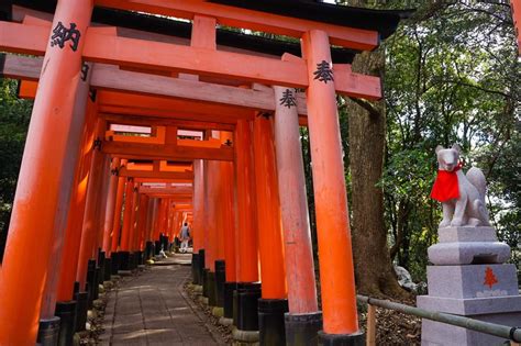 A Travellers Guide To The Kyoto Fox Shrine: Home to The Mythical Ianri ...