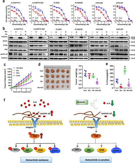 Ibrutinib Specifically Overcame Il Induced Osimertinib Resistance In