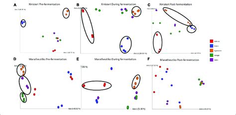 Principal Coordinate Analysis Pcoa Plot Showing The Similarities