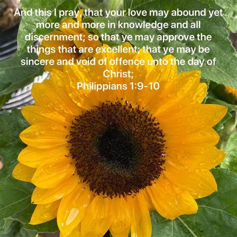 Philippians And This I Pray That Your Love May Abound Yet More