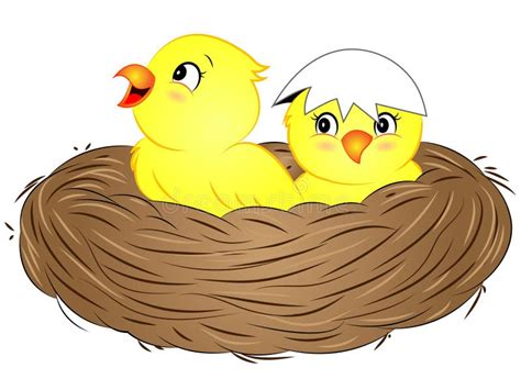 Cartoon Yellow Baby Birds in Nest Stock Vector - Illustration of vector ...