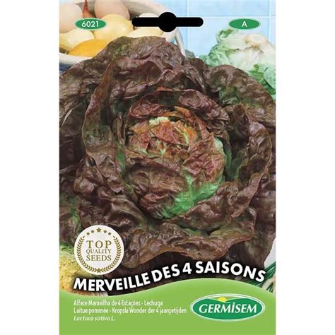 Germisem Graines Laitue Pomm E Merveille Des Saisons Cdiscount