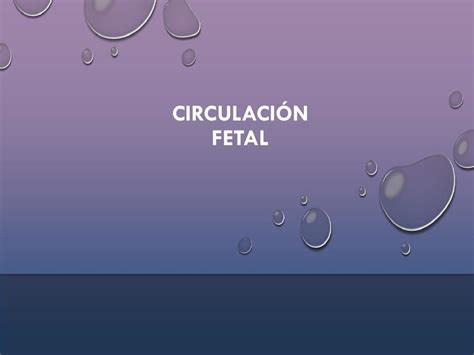 Circulaci N Fetal Francisca Artal Udocz