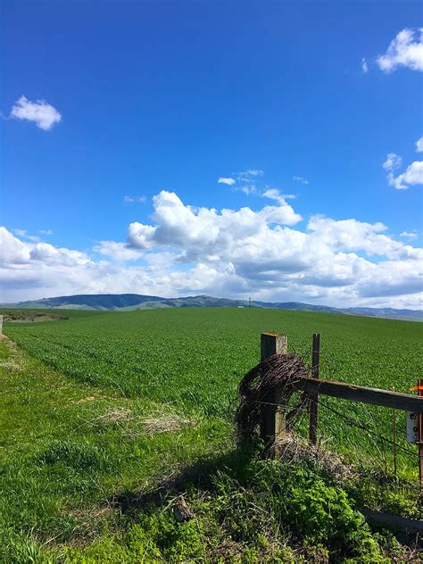 Countryscape Wanderlust Barb Wire Blue Cloud Fence Green Hill