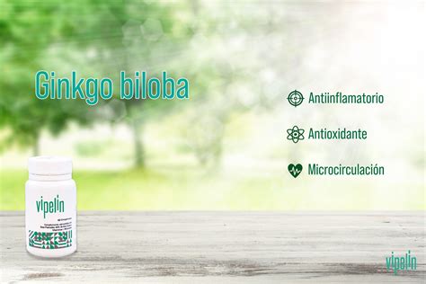 Mejora Tu Salud Capilar Con Los Beneficios Del Ginkgo Biloba Nutriaventura