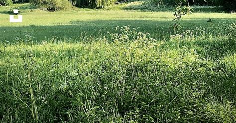 昼間は青空の下で木々が生い茂る緑の草原の写真 Unsplashの無料pe27写真