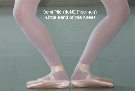 Image - Plie.jpg | Ballet Wiki | FANDOM powered by Wikia