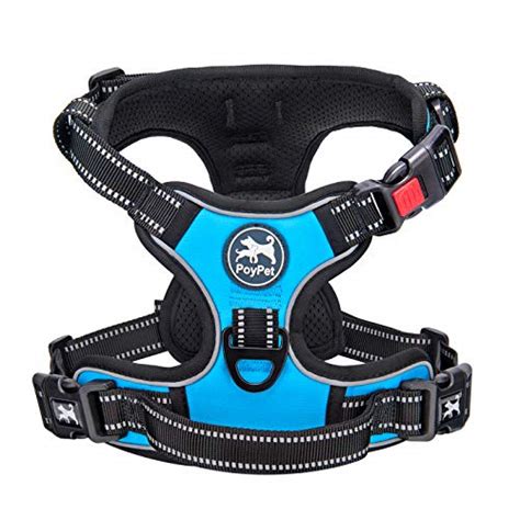 The Best Dog Harnesses for Large Breeds - Dogtime