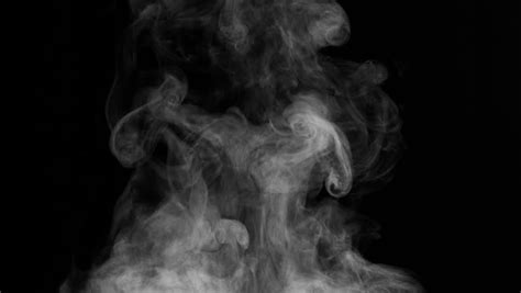 boil stock video footage royalty  video  coverr