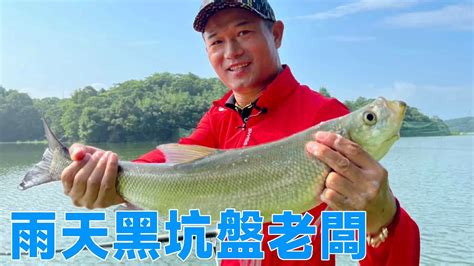 【鄧剛釣魚】雨天水庫盤老闆200斤翹嘴，老闆的臉色和天氣一樣，說變就變🤣 Youtube