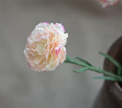 Peach Blush Carnations, Real Touch Carnations DIY Wedding Flowers Silk ...