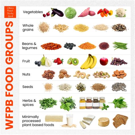Ultimate Foods For A Plant Based Diet Your Guide