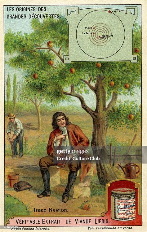 Sir Isaac Newton and the theory of gravity - sitting next to an apple ...