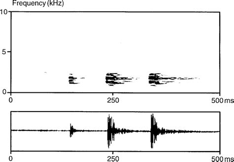 Sonagram And Oscillogram Of A Call Single Note With Three Pulses Of