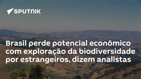 Brasil Perde Potencial Econômico Com Exploração Da Biodiversidade Por