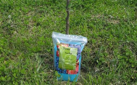 How To Fertilize Mature Fruit Trees Artofit