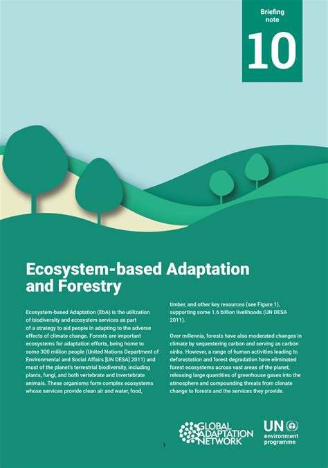 Ecosystem Based Adaptation And Forestry Global Adaptation Network GAN