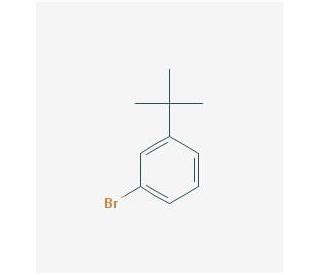 1 Bromo 3 Tert Butyl Benzene CAS 3972 64 3 SCBT Santa Cruz