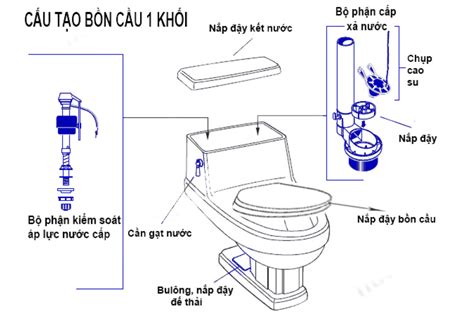 Cấu tạo bồn cầu 1 khối, bạn đã biết chưa?