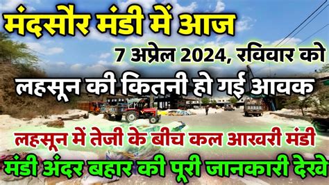 मंदसौर मंडी आज की लहसुन की आवक 7 अप्रैल 2024 Mandsaur Mandi Arrivals