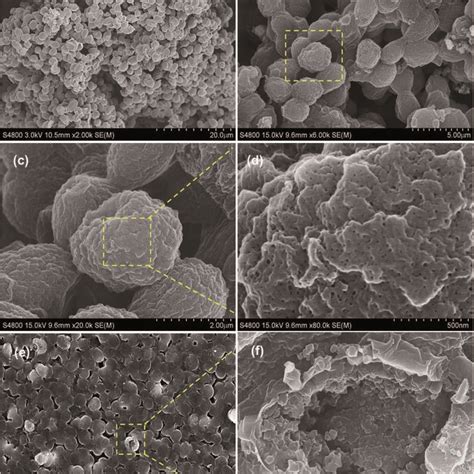 FE SEM Micrographs Of A The Naked Yeast And Bf PB Yeast Under