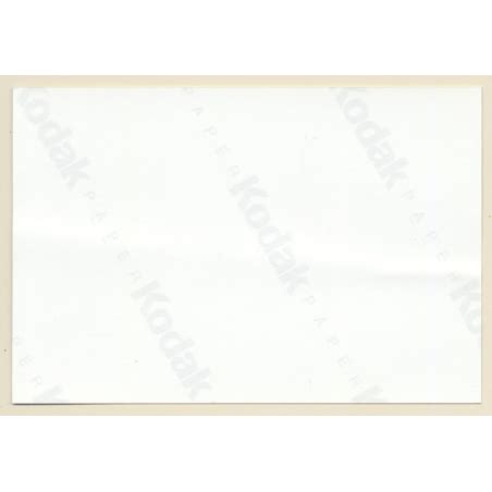 Erotic Study Tall Slim Blonde Semi Nude White Lingerie Vintage Photo S