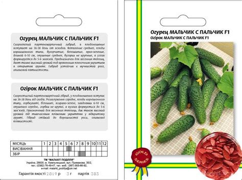 Огурцы Мальчик-с-пальчик: характеристика и описание гибридного сорта с фото