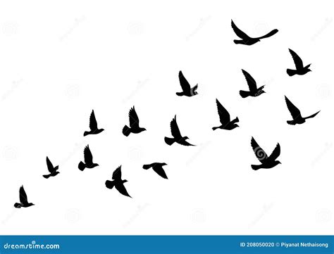 Flying Birds Silhouettes On White Background Vector Illustration